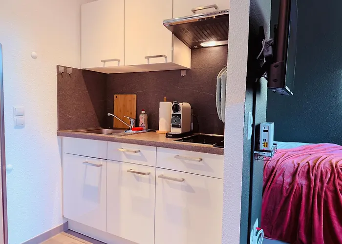 아파트 Klassen - Exklusive Am Hbf - Kueche, Netflix 코블렌츠